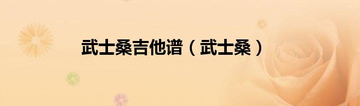 武士桑吉他譜（武士桑）