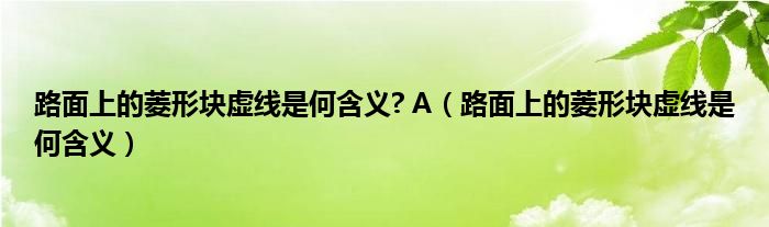 路面上的菱形塊虛線是何含義? A（路面上的菱形塊虛線是何含義）