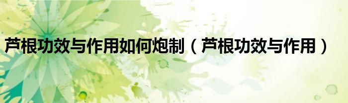蘆根功效與作用如何炮制（蘆根功效與作用）