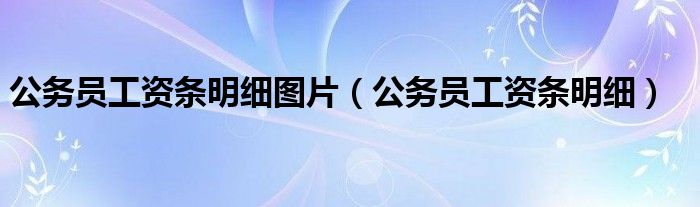 公務(wù)員工資條明細圖片（公務(wù)員工資條明細）