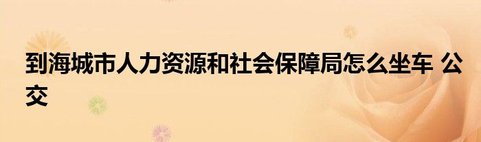 到海城市人力資源和社會(huì)保障局怎么坐車 公交