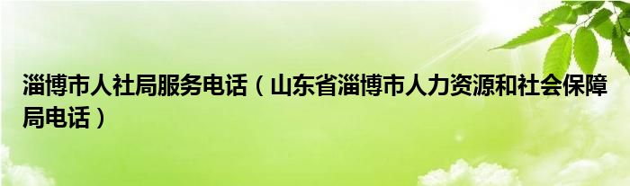 淄博市人社局服務(wù)電話（山東省淄博市人力資源和社會(huì)保障局電話）