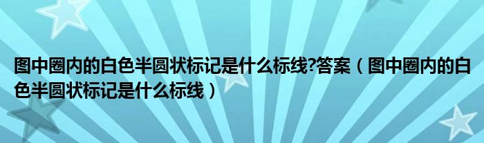 圖中圈內(nèi)的白色半圓狀標記是什么標線?答案（圖中圈內(nèi)的白色半圓狀標記是什么標線）