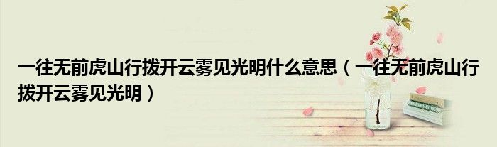 一往無(wú)前虎山行撥開云霧見光明什么意思（一往無(wú)前虎山行撥開云霧見光明）