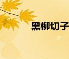 黑柳切子作者介紹（黑柳切子）