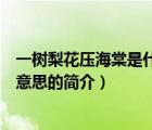 一樹(shù)梨花壓海棠是什么意思（說(shuō)一說(shuō)一樹(shù)梨花壓海棠是什么意思的簡(jiǎn)介）