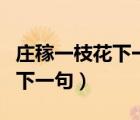 莊稼一枝花下一句是什么諺語(yǔ)（莊稼一枝花的下一句）