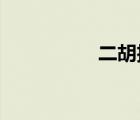 二胡擴(kuò)音器哪個(gè)牌子好