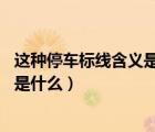 這種停車標線含義是什么 藍色的停車位（這種停車標線含義是什么）