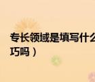 專長領(lǐng)域是填寫什么（專長是完成特定領(lǐng)域任務(wù)需使用的技巧嗎）