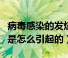 病毒感染的發(fā)燒是什么引起的（病毒感染發(fā)燒是怎么引起的）