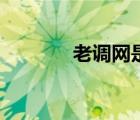 老調(diào)網(wǎng)是怎么回事（老調(diào)網(wǎng)）