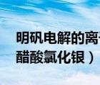 明礬電解的離子方程式（電解質(zhì) 明礬石膏冰醋酸氯化銀）