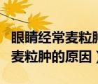 眼睛經(jīng)常麥粒腫是什么原因引起的（眼睛長了麥粒腫的原因）