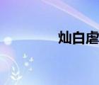 燦白虐文小說（燦白虐文）