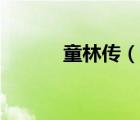 童林傳（說一說童林傳的簡介）