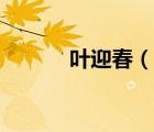 葉迎春（說(shuō)一說(shuō)葉迎春的簡(jiǎn)介）