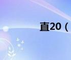 直20（說(shuō)一說(shuō)直20的簡(jiǎn)介）