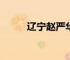 遼寧趙嚴(yán)華（遼寧賄選案趙化明）