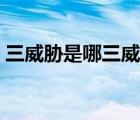 三威脅是哪三威脅（三威脅具體指的是什么）