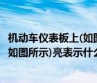 機動車儀表板上(如圖所示)亮表示什么?P（機動車儀表板上(如圖所示)亮表示什么）