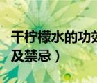 干檸檬水的功效與禁忌（檸檬水的功效與作用及禁忌）