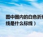 圖中圈內(nèi)的白色折線是什么標(biāo)線?單選（圖中圈內(nèi)的白色折線是什么標(biāo)線）