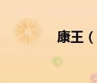 康王（說一說康王的簡介）