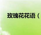 玫瑰花花語（說一說玫瑰花花語的簡介）