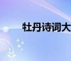 牡丹詩詞大全五言（牡丹詩詞大全）