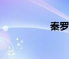 秦羅敷拼音（秦羅敷）