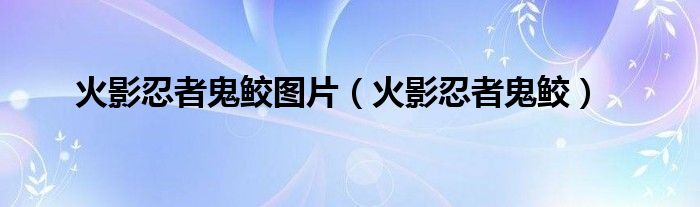 火影忍者鬼鮫圖片（火影忍者鬼鮫）
