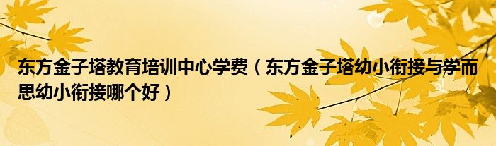 東方金子塔教育培訓(xùn)中心學(xué)費(fèi)（東方金子塔幼小銜接與學(xué)而思幼小銜接哪個(gè)好）