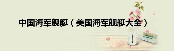 中國海軍艦艇（美國海軍艦艇大全）