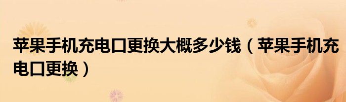 蘋果手機充電口更換大概多少錢（蘋果手機充電口更換）