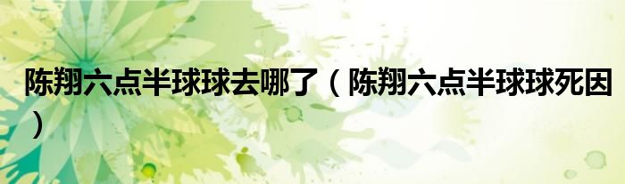 陳翔六點(diǎn)半球球去哪了（陳翔六點(diǎn)半球球死因）