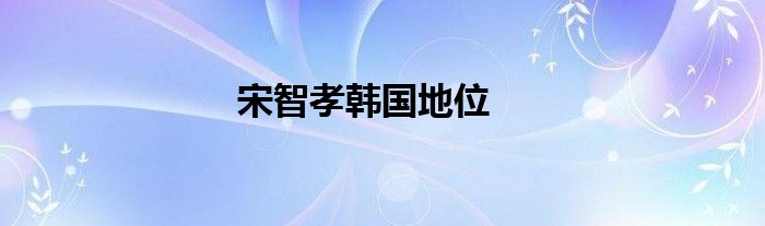 宋智孝韓國地位