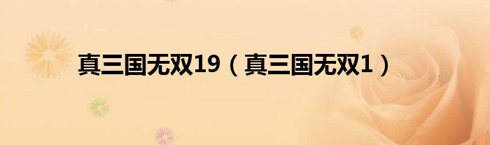 真三國無雙19（真三國無雙1）
