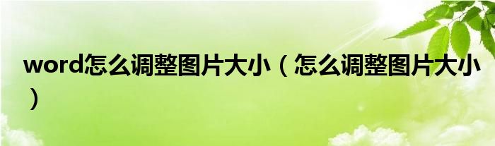 word怎么調(diào)整圖片大?。ㄔ趺凑{(diào)整圖片大?。? />
                                         </a>
                                    </div>
                                 <div   id=