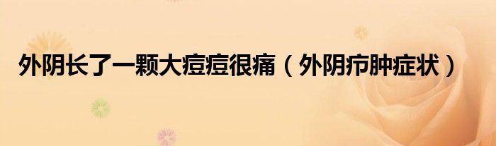外陰長(zhǎng)了一顆大痘痘很痛（外陰癤腫癥狀）