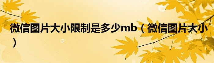 微信圖片大小限制是多少mb（微信圖片大?。? />
                                         </a>
                                    </div>
                                 <div   id=