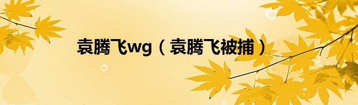 袁騰飛wg（袁騰飛被捕）
