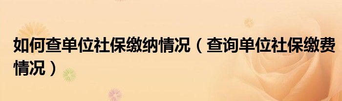 如何查單位社保繳納情況（查詢單位社保繳費(fèi)情況）