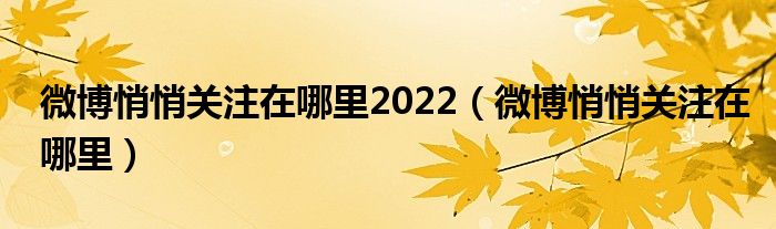微博悄悄關(guān)注在哪里2022（微博悄悄關(guān)注在哪里）