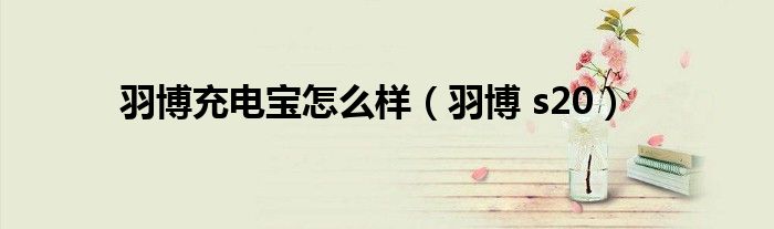 羽博充電寶怎么樣（羽博 s20）
