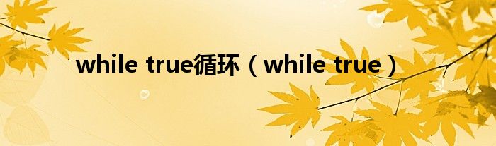 while true循環(huán)（while true）