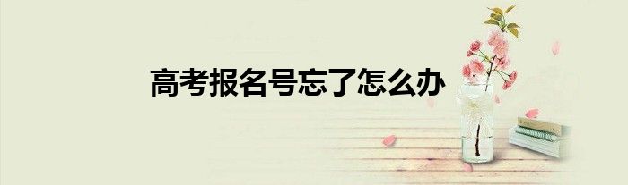 高考報名號忘了怎么辦