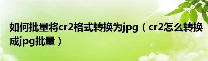 如何批量將cr2格式轉換為jpg（cr2怎么轉換成jpg批量）