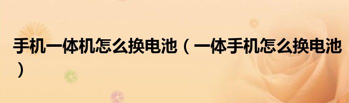 手機(jī)一體機(jī)怎么換電池（一體手機(jī)怎么換電池）
