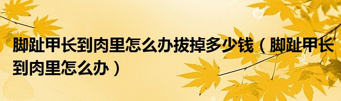 腳趾甲長到肉里怎么辦拔掉多少錢（腳趾甲長到肉里怎么辦）